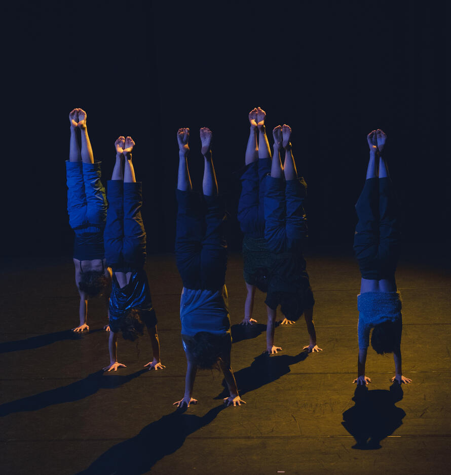 SITU INO Kollektiv 2025 cirque